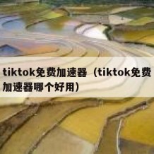 tiktok免费加速器（tiktok免费加速器哪个好用）