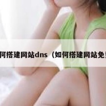 如何搭建网站dns（如何搭建网站免费）