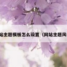 网站主题模板怎么设置（网站主题风格）