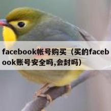 facebook帐号购买（买的facebook账号安全吗,会封吗）