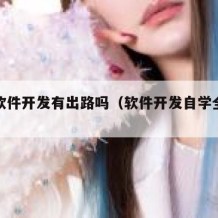 自学软件开发有出路吗（软件开发自学全套教程）