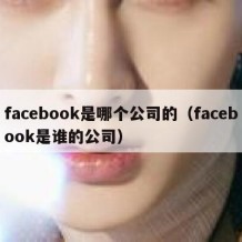 facebook是哪个公司的（facebook是谁的公司）