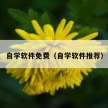 自学软件免费（自学软件推荐）