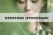 自学软件开发培训（自学软件开发培训班）