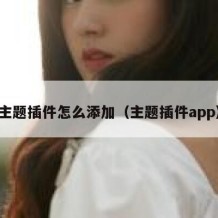 主题插件怎么添加（主题插件app）