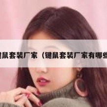 键鼠套装厂家（键鼠套装厂家有哪些）