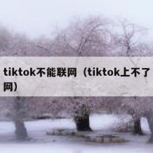 tiktok不能联网（tiktok上不了网）