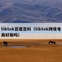 tiktok百度百科（tiktok跨境电商好做吗）