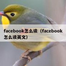 facebook怎么读（facebook怎么读英文）