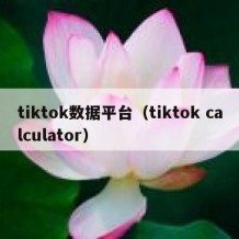 tiktok数据平台（tiktok calculator）