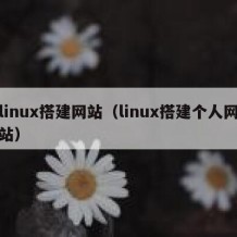 linux搭建网站（linux搭建个人网站）