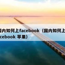 国内如何上facebook（国内如何上facebook 苹果）