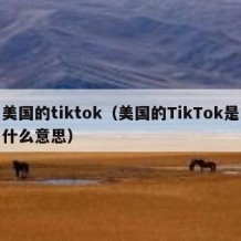 美国的tiktok（美国的TikTok是什么意思）