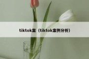 tiktok案（tiktok案例分析）