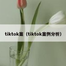 tiktok案（tiktok案例分析）