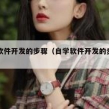 自学软件开发的步骤（自学软件开发的步骤有哪些）