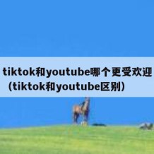 tiktok和youtube哪个更受欢迎（tiktok和youtube区别）