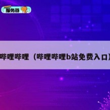 哔哩哔哩（哔哩哔哩b站免费入口）