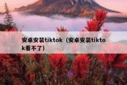 安卓安装tiktok（安卓安装tiktok看不了）