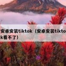 安卓安装tiktok（安卓安装tiktok看不了）