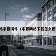 网站字幕插件（字幕网站下载怎么使用）