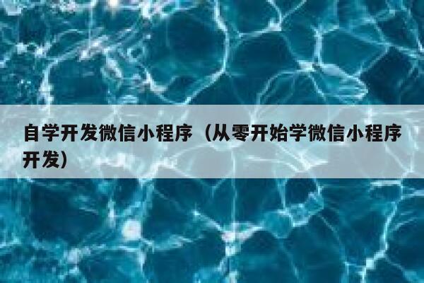 自学开发微信小程序（从零开始学微信小程序开发） 第1张