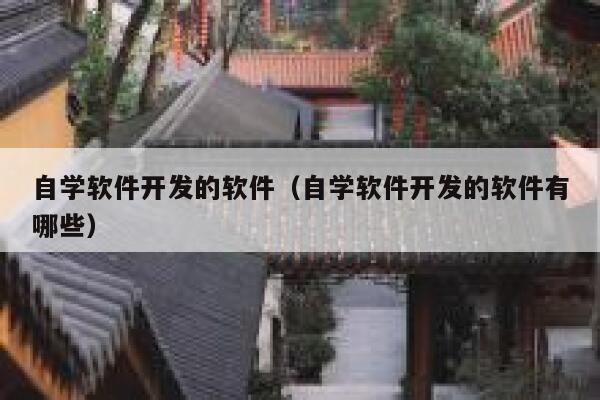 自学软件开发的软件（自学软件开发的软件有哪些） 第1张