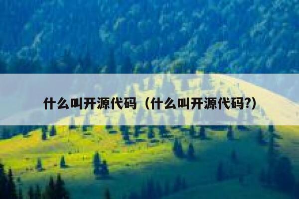 什么叫开源代码（什么叫开源代码?） 第1张