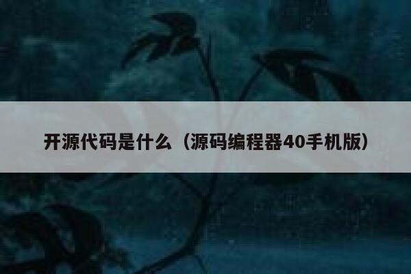 开源代码是什么（源码编程器40手机版） 第1张