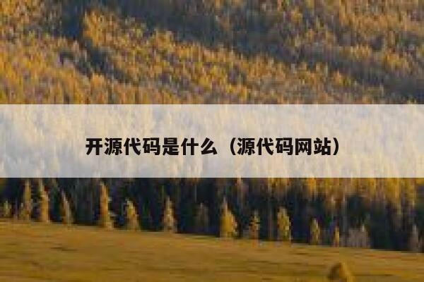 开源代码是什么（源代码网站） 第1张