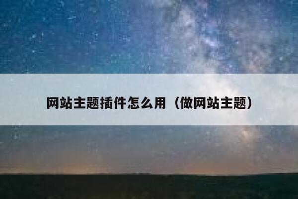 网站主题插件怎么用（做网站主题） 第1张