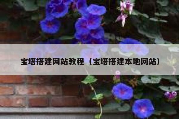 宝塔搭建网站教程（宝塔搭建本地网站） 第1张