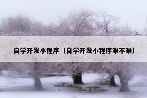 自学开发小程序（自学开发小程序难不难） 第1张