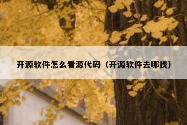 开源软件怎么看源代码（开源软件去哪找） 第1张