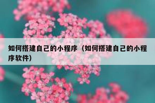 如何搭建自己的小程序（如何搭建自己的小程序软件） 第1张