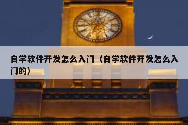 自学软件开发怎么入门（自学软件开发怎么入门的） 第1张