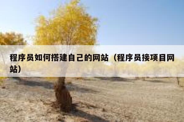 程序员如何搭建自己的网站（程序员接项目网站） 第1张