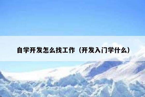 自学开发怎么找工作（开发入门学什么） 第1张