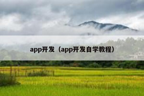 app开发（app开发自学教程） 第1张