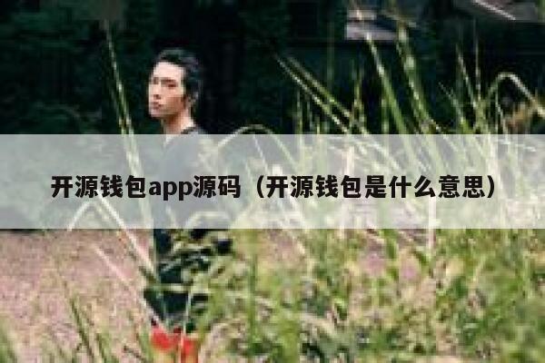 开源钱包app源码（开源钱包是什么意思） 第1张