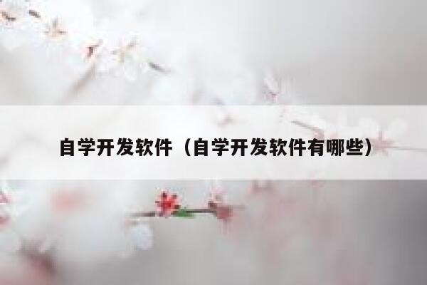 自学开发软件（自学开发软件有哪些） 第1张