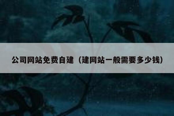 公司网站免费自建（建网站一般需要多少钱） 第1张