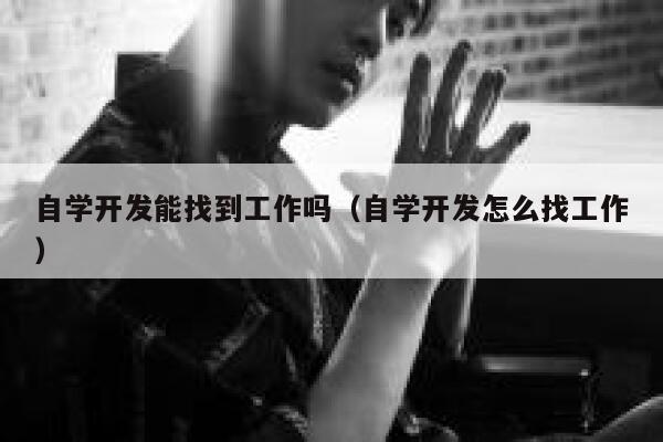 自学开发能找到工作吗（自学开发怎么找工作） 第1张