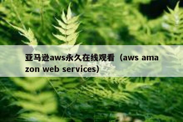 亚马逊aws永久在线观看（aws amazon web services） 第1张