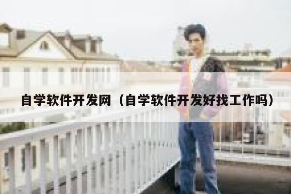 自学软件开发网（自学软件开发好找工作吗） 第1张