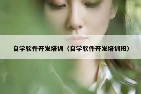 自学软件开发培训（自学软件开发培训班） 第1张