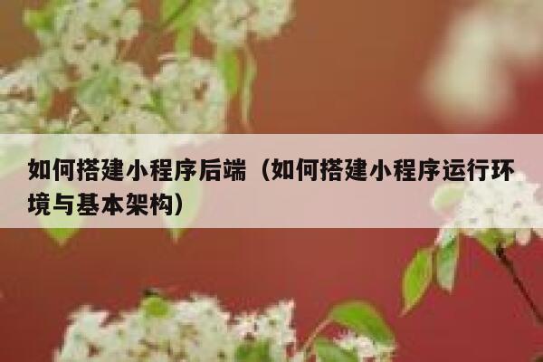 如何搭建小程序后端（如何搭建小程序运行环境与基本架构） 第1张