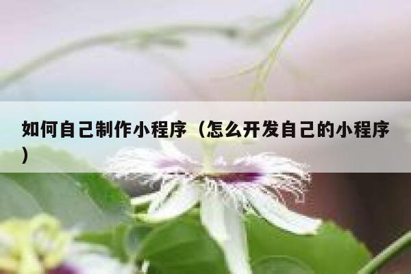 如何自己制作小程序（怎么开发自己的小程序） 第1张