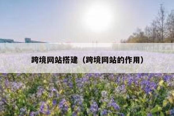 跨境网站搭建（跨境网站的作用） 第1张