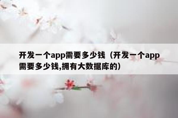 开发一个app需要多少钱（开发一个app需要多少钱,拥有大数据库的） 第1张